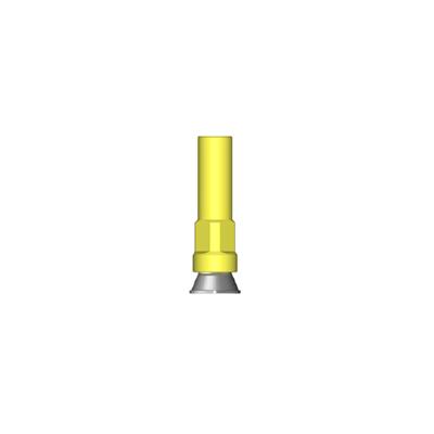Anyridge MUA CCM Cylinder (Non-Hex) (All-on-4)